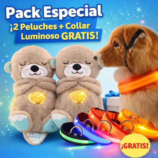 🐾Pack Doble Peluche Nutria Calmante + Regalo